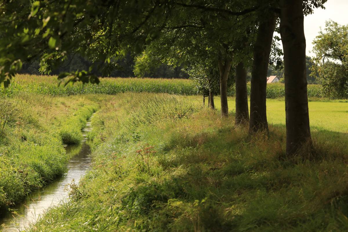 Nachhaltige Tagungen im Tagungshotel Bad Iburg bei Osnabrück