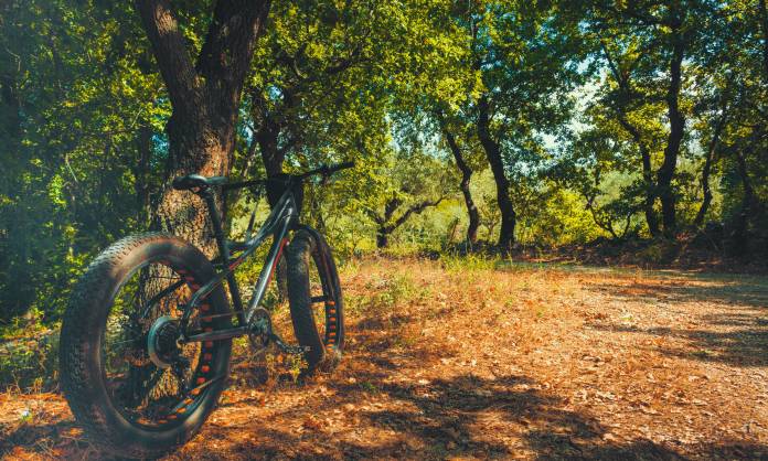 Freizeitaktivitäten Tagungshotel Osnabrücker Land - Bad Iburg