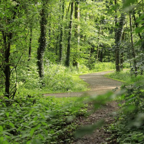 Green Meetings im Osnabrücker Land