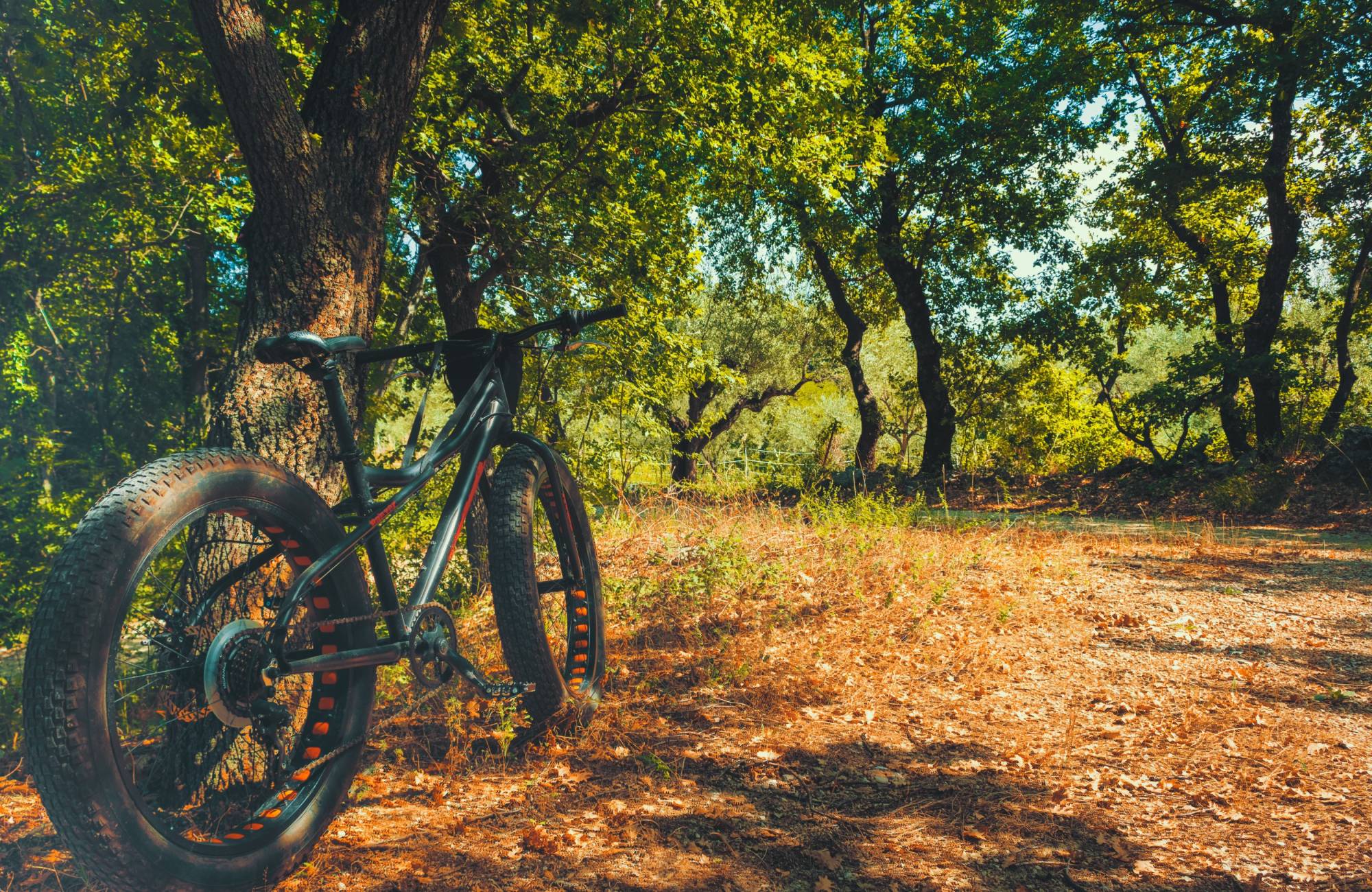 Freizeitaktivitäten Tagungshotel Osnabrücker Land - Bad Iburg