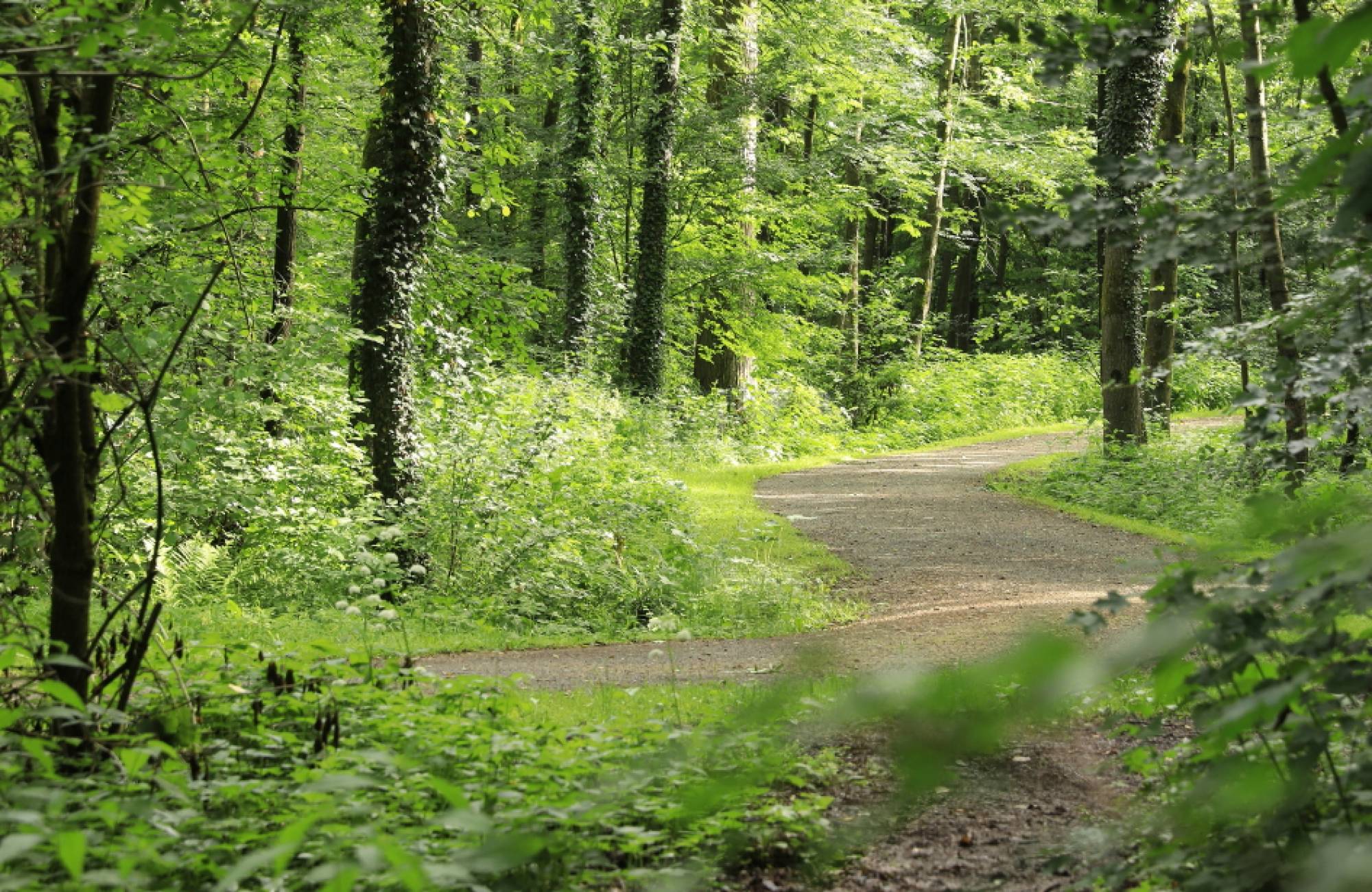 Green Meetings im Osnabrücker Land