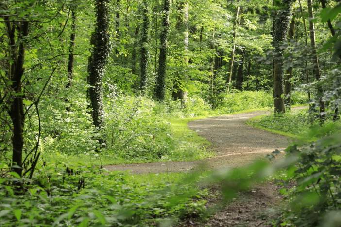 Green Meetings im Osnabrücker Land